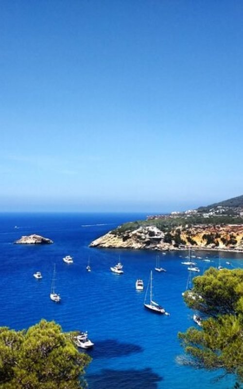 shot-sunny-weather-coast-near-ibiza-full-boats_181624-9976 (1)